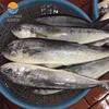 Frozen Mahi Mahi fish food for sale frozen seafood