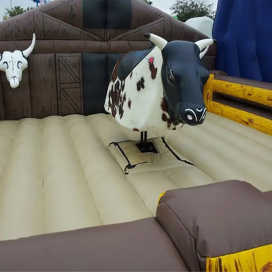 bull ride.jpg