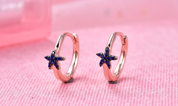 POLIVA Fashionable 925 Sterling Silver CZ Stone Earrings Star Lovisa Fancy Earrings