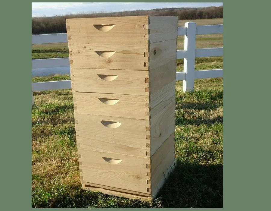 Wooden Langstroth Beehive With 10 Frames Or Can Customized Bee Hive Box ...