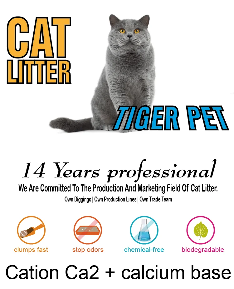 Best Clean Bentonite Cat Litter Box Cat Toilet Sand Buy Cat Litter