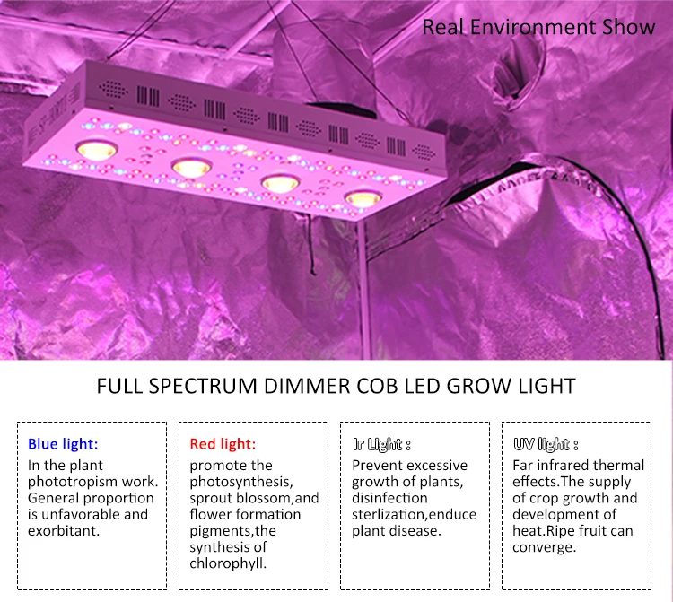 High PPF VEG BLOOM COB full spectrum 1000w 2000w led grow light