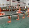 Poultry equipments chicken farming machine feed processing machines automatic feed line