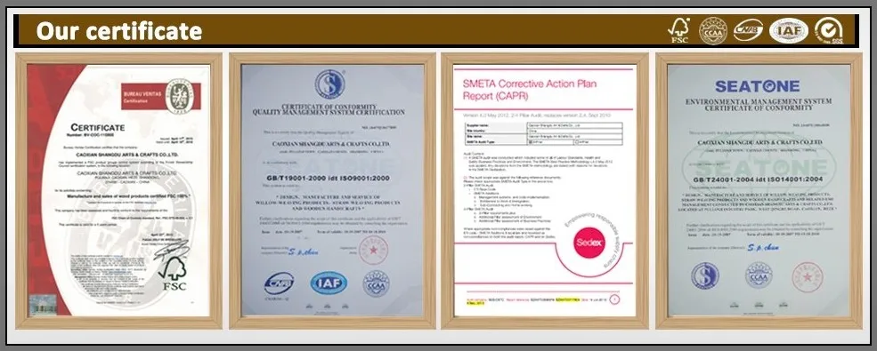 certification.jpg