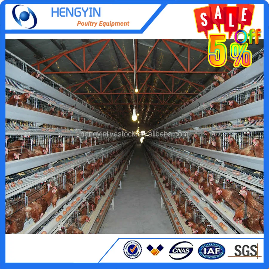 best design of poultry house modern design