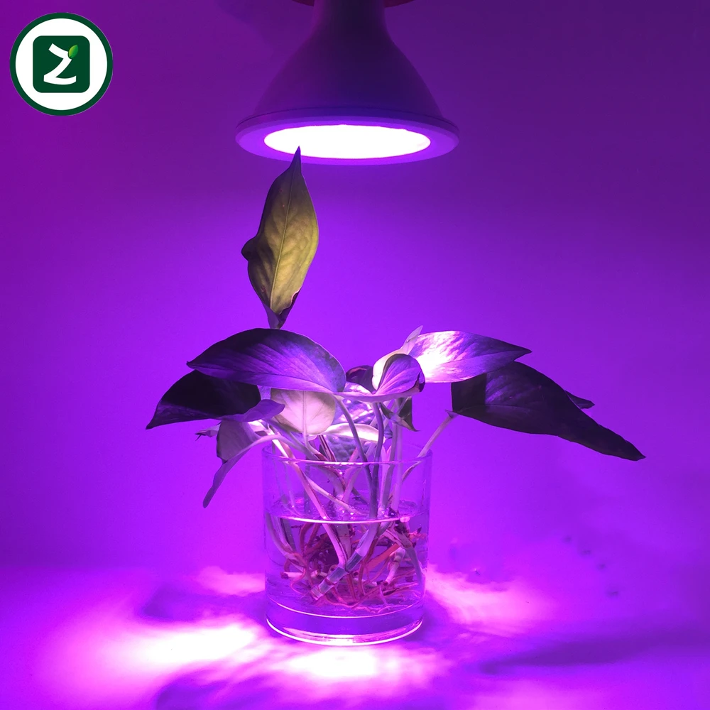 Full Spectrum Indoor Plants E27 Par38 High Par Par20 Par30 Led Grow Light For Plant Growth