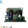 OEM Noiseless Cold Storage Room Bitzer Refrigeration Compressor Condensing Unit