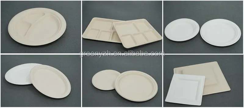 Disposable plate