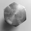 A182 F51 2205 S31803 1.4462 hex plugs