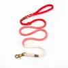 Factory wholesale new style Strong and high quality Colorful Straw rope shape dog leash
