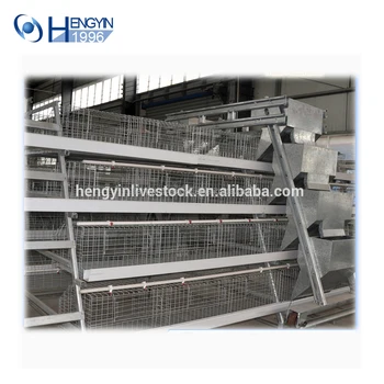 Chicken Farming Equipment Broiler Chicken Cage Automatic Chicken Layer Cage For Sale In Philippines Buy Automatic Chicken Layer Cage For Sale In