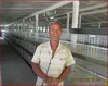 Wholesale High Quality Layer And Boiler Poultry Cages For Nigeria(A Type & H Type Broiler Chicken Cage)