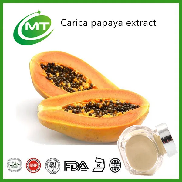 Organic Pure Papaya Extract Pawpaw Fruit Enzyme Powder Buy Papaya