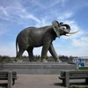 /product-detail/outdoor-brass-animal-statue-life-size-bronze-elephant-sculpture-for-sale-1616578624.html