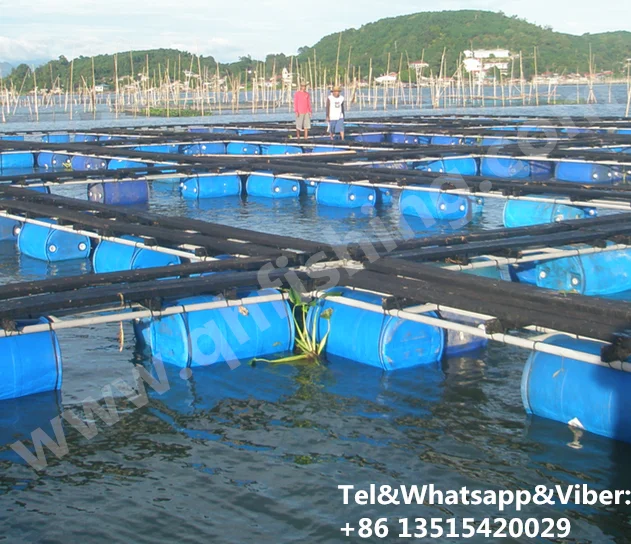 2019 Hdpe Floating Aquaculture Quadrate Fish Cage For Sturgeon Farm ...