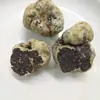 /product-detail/premium-delicious-wild-dried-white-truffle-mushrooms-whole-60591028797.html