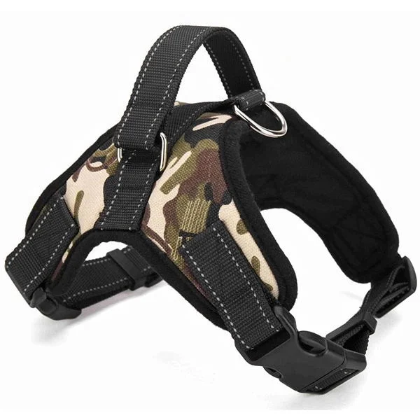 chain dog harness.jpg
