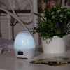 Aromatherapy Essential Oils Cute digital alarm clock with seven lumilous colors