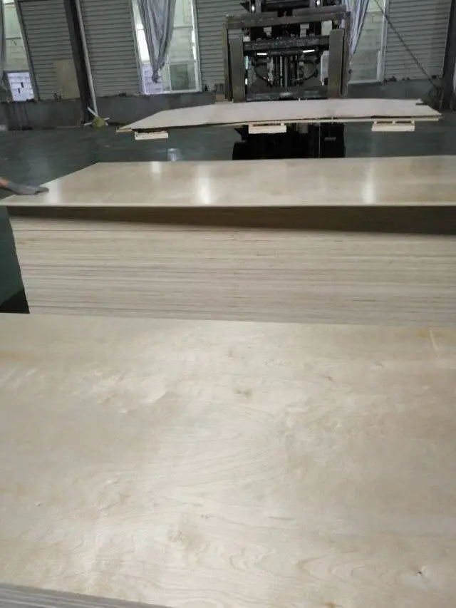 UV birch 08