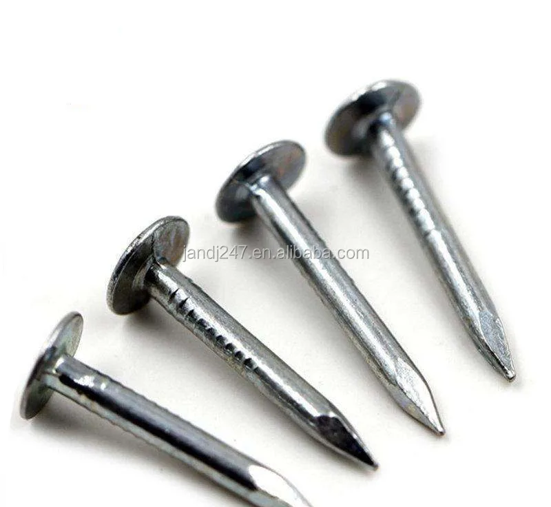 Galvanized Big Flat Head Clout Nail Galvanized Cloud Big Head Nails