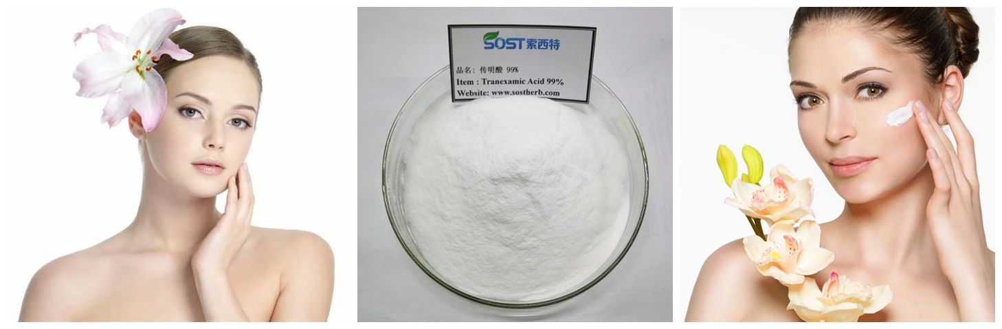Cosmetic Grade Skin Whitening Pharmaceutical Grade Tranexamic Acid Powder.jpg