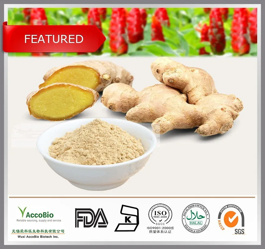 Gmp Certificate Pure Ginger Extract Powder,Ginger Root Extract In Bulk