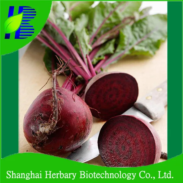 sugar beet seed for sale