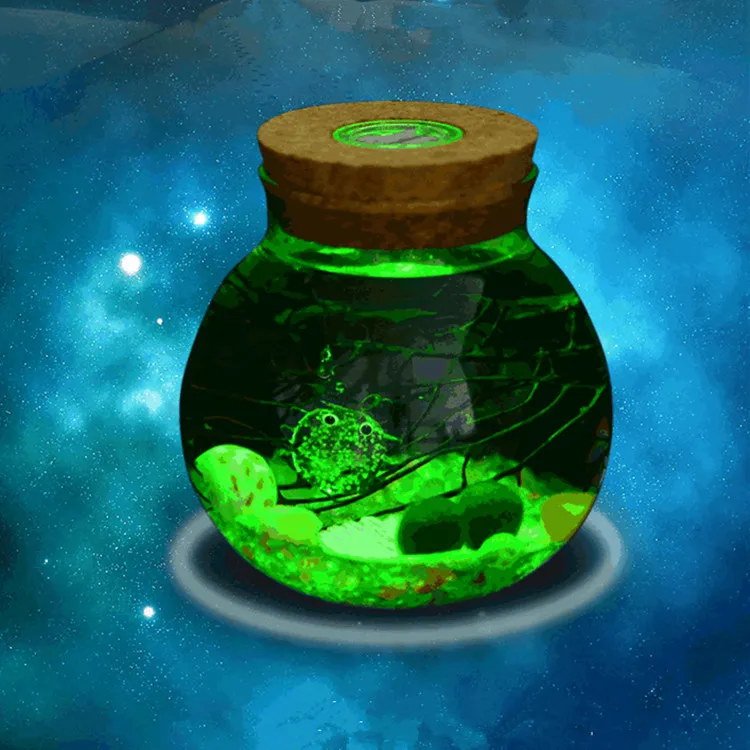 Led Glass Terrarium Jar,Decorative Terrarium With Cock Buy Terrarium