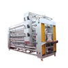 High quality professional A Type poultry cage chicken layer