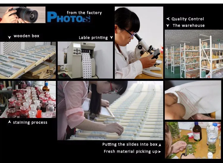 002 manufacture-process.jpg