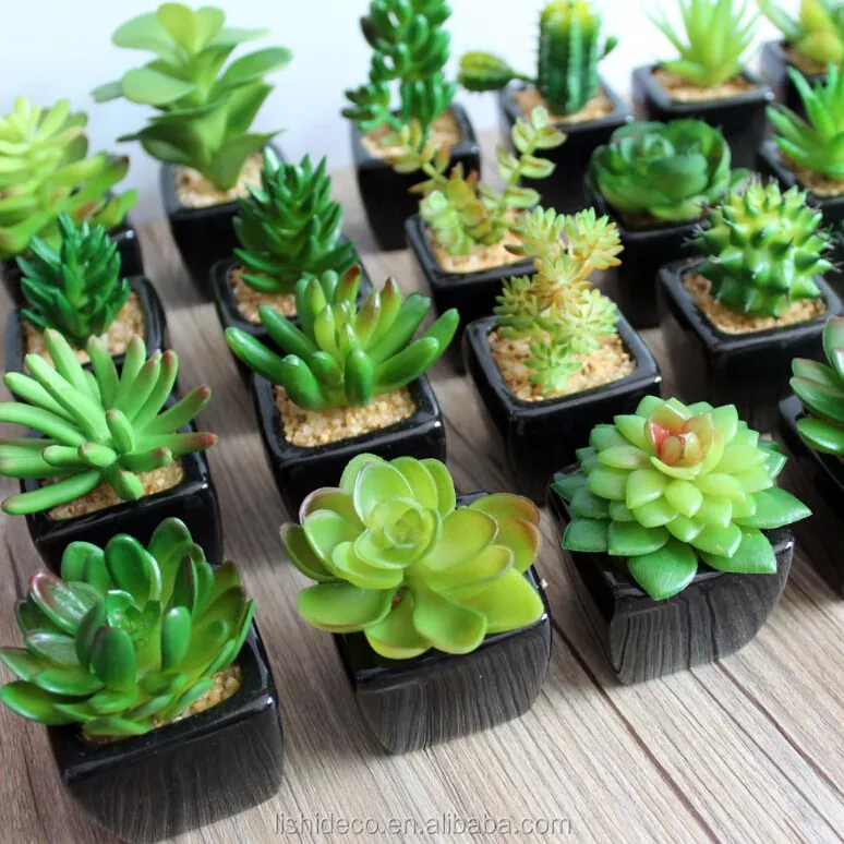 Factory Sale Artificial Succulent Plants Mini Potted Artificial
