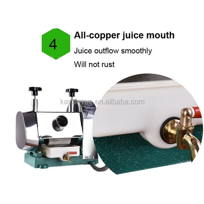sugar cane juicer (3).jpg