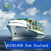 Shipping Rates Sea Ocean Freight Agent to AUCKLAND New Zealand from China Shanghai Ningbo Shenzhen Qingdao Xiamen