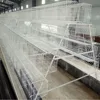 Poultry Farming Equipment a type layer chicken cage with automatic system for sale