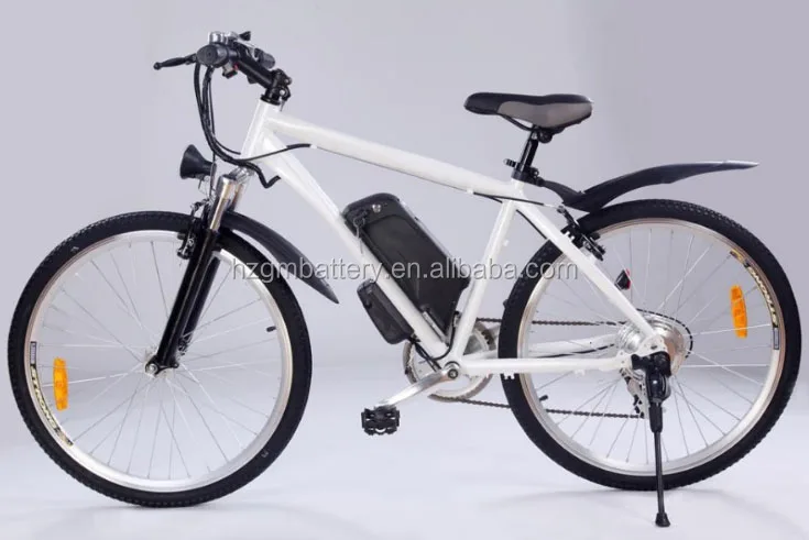 36v 11.6Ah dolphin2.jpg