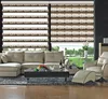 High quality Modern Zebra Blinds Manual Curtain for Windows with built in Roller blind
