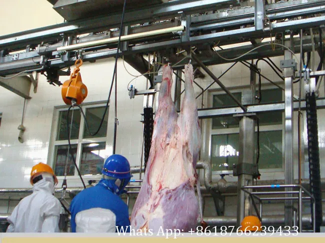 New livestock slaughtering machine halal slaughterhouse equipment for cattle slaughtering production line