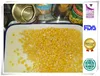 Top quality canned cream style corn