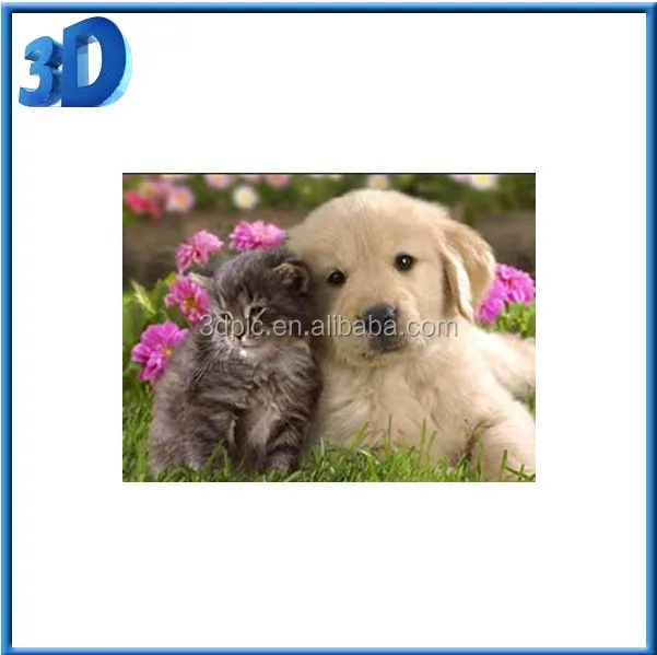 3d picture
