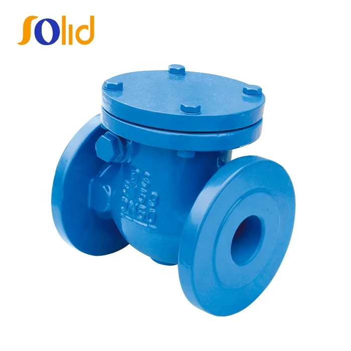 Hot Selling Ductile Iron Cast Iron Flanged Swing Check Valve
