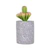 Cement succulent plant pot/cactus plant pot container clay planter in gray for wholesale