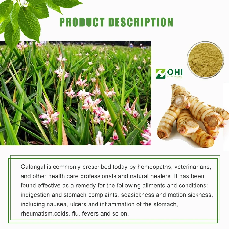 Galangal-Root-extract.jpg