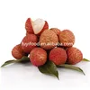 high quality fresh lychee/litchi/lichee on sale