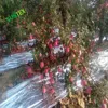 Best seller reflective orchard film for apple persimmon peach nectarine and cherry crops,aluminum coated mulch film for orchards