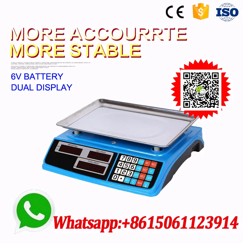 Electronic Weighing Scale Digital Weigh Computing Scale - China