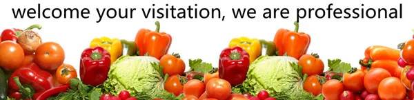 Potato washing/drying/sorting/grading machine