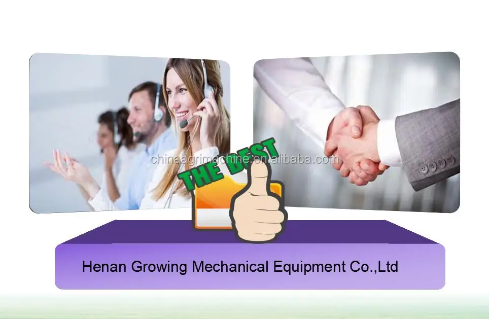 Peanut Seeds Baking.png