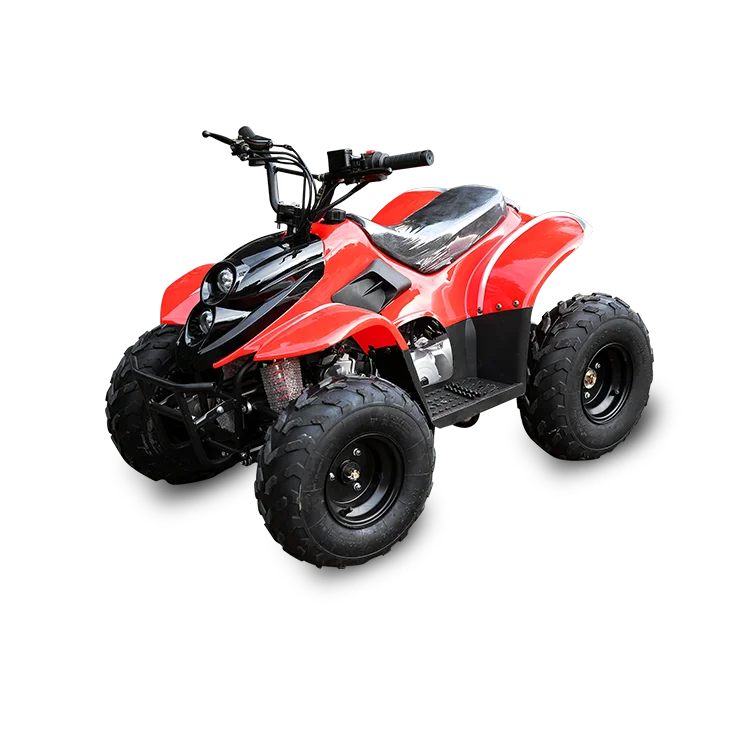 dino electric quad