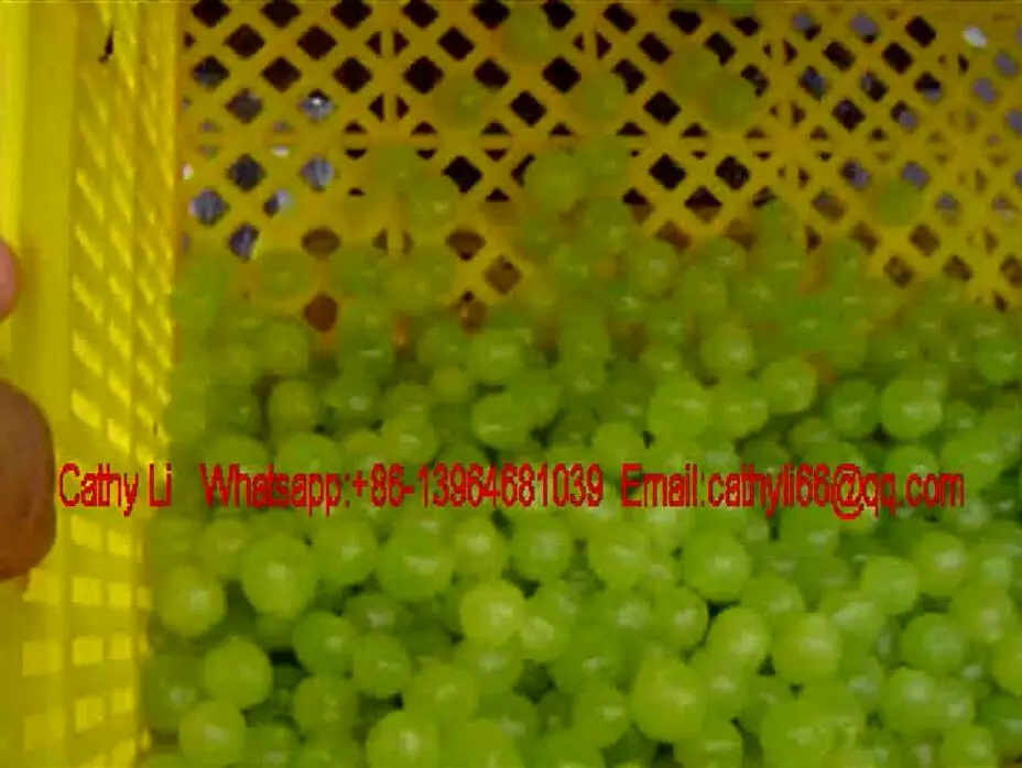 grape cleaning machine.jpg