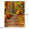 5X7FT Vinyl Autumn Fall Forest Photography Background photo Studio Props Photography Backdrop 1.5X2.1m waterproof